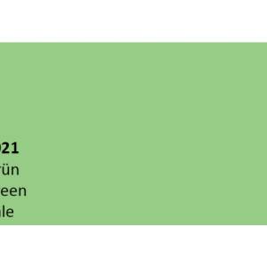 CREPIS Adam Materiaux RAL6021 1.5mm /seau 25kg   