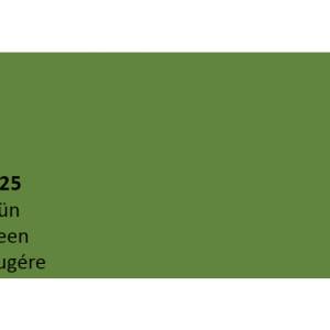 CREPIS Adam Materiaux RAL6025 1.5mm /seau 25kg   