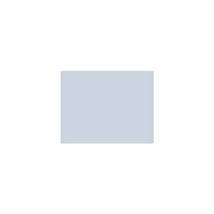 Peinture silicone acrylique Adam Materiaux TO-BL019 Y=64%/10L