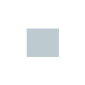 Peinture silicone acrylique Adam Materiaux TO-BL025 Y=58%/10L