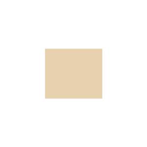Peinture silicone acrylique Adam Materiaux TO-BR001 Y=67%/10L