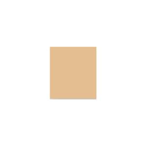 Peinture silicone acrylique Adam Materiaux TO-BR002 Y=56%/10L