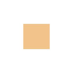 Peinture silicone acrylique Adam Materiaux TO-BR004 Y=61%/10L