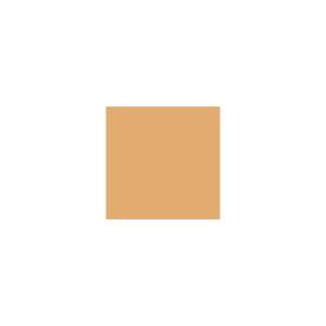 Peinture silicone acrylique Adam Materiaux TO-BR005 Y=48%/10L