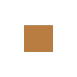 Peinture silicone acrylique Adam Materiaux TO-BR006 Y=26%/10L