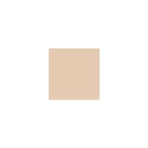 Peinture silicone acrylique Adam Materiaux TO-BR007 Y=64%/10L
