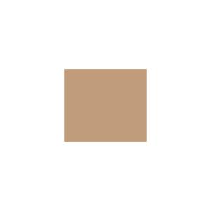 Peinture silicone acrylique Adam Materiaux TO-BR008 Y=38%/10L