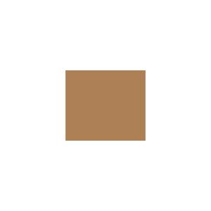 Peinture silicone acrylique Adam Materiaux TO-BR009 Y=26%/10L