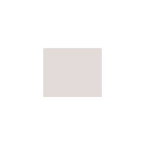 Peinture silicone acrylique Adam Materiaux TO-BR016 Y=72%/10L