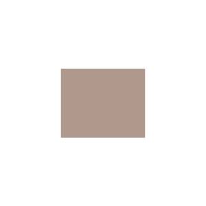 Peinture silicone acrylique Adam Materiaux TO-BR023 Y=34%/10L