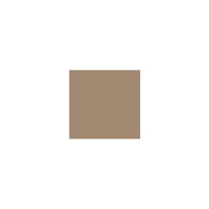 Peinture silicone acrylique Adam Materiaux TO-BR027 Y=27%/10L