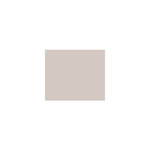 Peinture silicone acrylique Adam Materiaux TO-BR028 Y=60%/10L