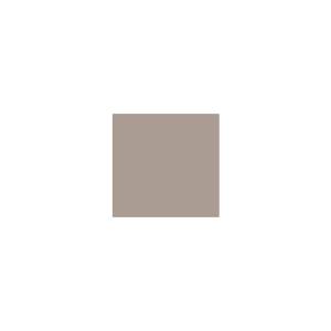 Peinture silicone acrylique Adam Materiaux TO-BR029 Y=35%/10L
