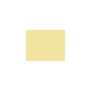 Peinture silicone acrylique Adam Materiaux TO-GR001 Y=77%/10L