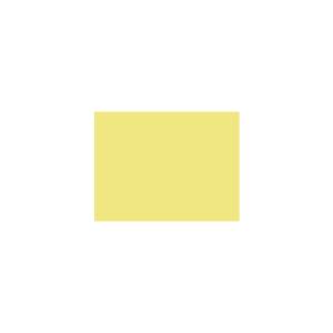 Peinture silicone acrylique Adam Materiaux TO-GR004 Y=78%/10L