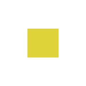 Peinture silicone acrylique Adam Materiaux TO-GR006 Y=63%/10L