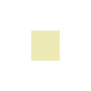 Peinture silicone acrylique Adam Materiaux TO-GR007 Y=80%/10L