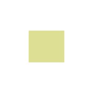 Peinture silicone acrylique Adam Materiaux TO-GR008 Y=71%/10L