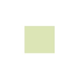 Peinture silicone acrylique Adam Materiaux TO-GR016 Y=74%/10L