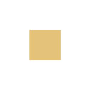 Peinture silicone acrylique Adam Materiaux TO-OL005 Y=58%/10L