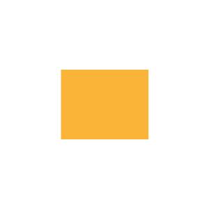 Peinture silicone acrylique Adam Materiaux TO-OR006 Y=56%/10L