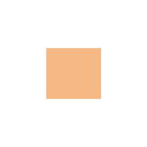Peinture silicone acrylique Adam Materiaux TO-OR008 Y=58%/10L