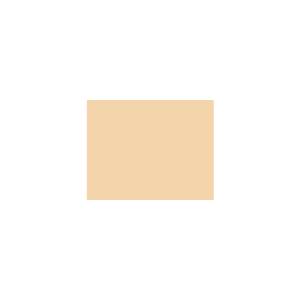 Peinture silicone acrylique Adam Materiaux TO-OR016 Y=71%/10L