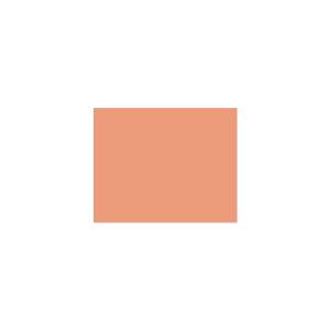 Peinture silicone acrylique Adam Materiaux TO-OR024 Y=46%/10L