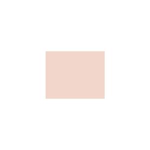 Peinture silicone acrylique Adam Materiaux TO-RE001 Y=73%/10L