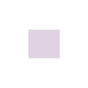 Peinture silicone acrylique Adam Materiaux TO-VI001 Y=68%/10L