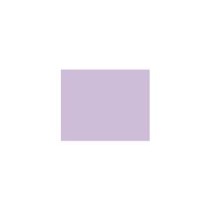 Peinture silicone acrylique Adam Materiaux TO-VI002 Y=56%/10L
