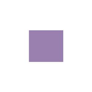 Peinture silicone acrylique Adam Materiaux TO-VI003 Y=26%/10L