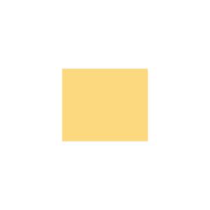 Peinture silicone acrylique Adam Materiaux TO-YE014 Y=73%/10L