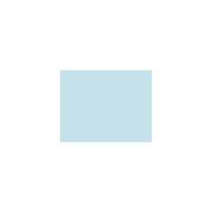 Peinture BL001 Y71 Latex Mate Intérieure Adam Materiaux murs et plafonds/ seau 5L
