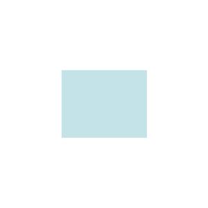 Peinture BL004 Y72 Latex Mate Intérieure Adam Materiaux murs et plafonds/ seau 5L