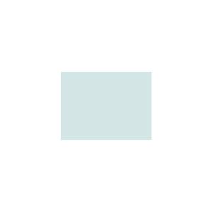 Peinture BL010 Y75 Latex Mate Intérieure Adam Materiaux murs et plafonds/ seau 5L