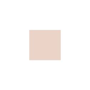 Peinture BR010 Y70 Latex Mate Intérieure Adam Materiaux murs et plafonds/ seau 5L