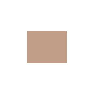 Peinture BR011 Y39 Latex Mate Intérieure Adam Materiaux murs et plafonds/ seau 5L