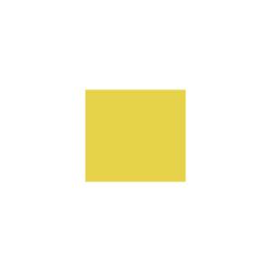 Peinture GR003 Y64 Latex Mate Intérieure Adam Materiaux murs et plafonds/ seau 5L