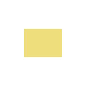Peinture GR005 Y73 Latex Mate Intérieure Adam Materiaux murs et plafonds/ seau 5L