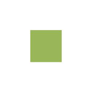 Peinture GR018 Y40 Latex Mate Intérieure Adam Materiaux murs et plafonds/ seau 5L