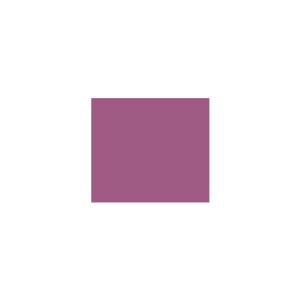 Peinture TO-MA009 Y18 Latex Mate Intérieure Adam Materiaux murs et plafonds/ seau 5L