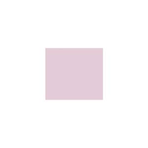 Peinture TO-MA010 Y66 Latex Mate Intérieure Adam Materiaux murs et plafonds/ seau 5L