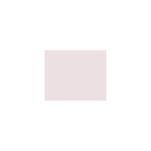 Peinture TO-MA013 Y78 Latex Mate Intérieure Adam Materiaux murs et plafonds/ seau 5L