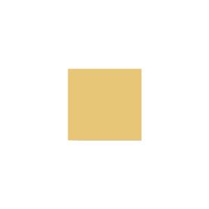 Peinture TO-OL002 Y60 Latex Mate Intérieure Adam Materiaux murs et plafonds/ seau 5L