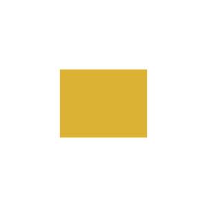 Peinture TO-OL003 Y48 Latex Mate Intérieure Adam Materiaux murs et plafonds/ seau 5L