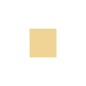 Peinture TO-OL004 Y69 Latex Mate Intérieure Adam Materiaux murs et plafonds/ seau 5L
