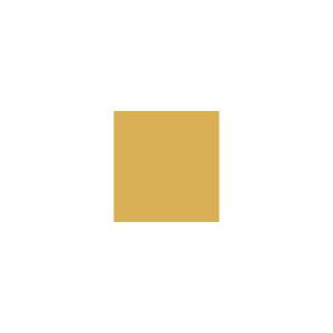 Peinture TO-OL006 Y48 Latex Mate Intérieure Adam Materiaux murs et plafonds/ seau 5L