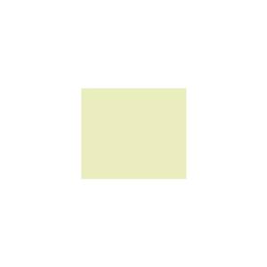 Peinture TO-OL007 Y82 Latex Mate Intérieure Adam Materiaux murs et plafonds/ seau 5L