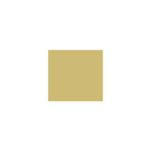 Peinture TO-OL009 Y50 Latex Mate Intérieure Adam Materiaux murs et plafonds/ seau 5L